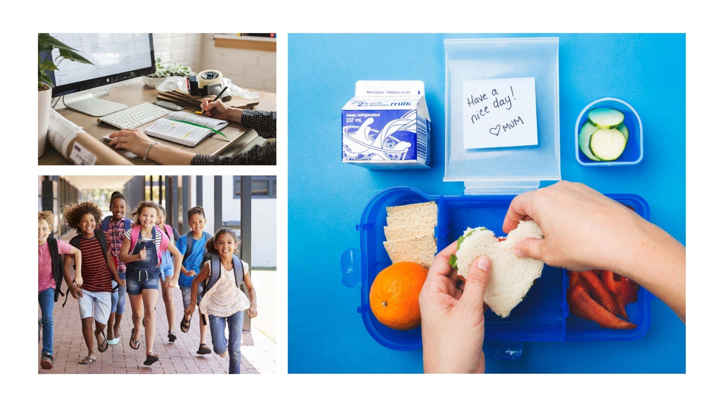 Back to School Calm: Aromatherapy Tips for Anxious Parents & Students