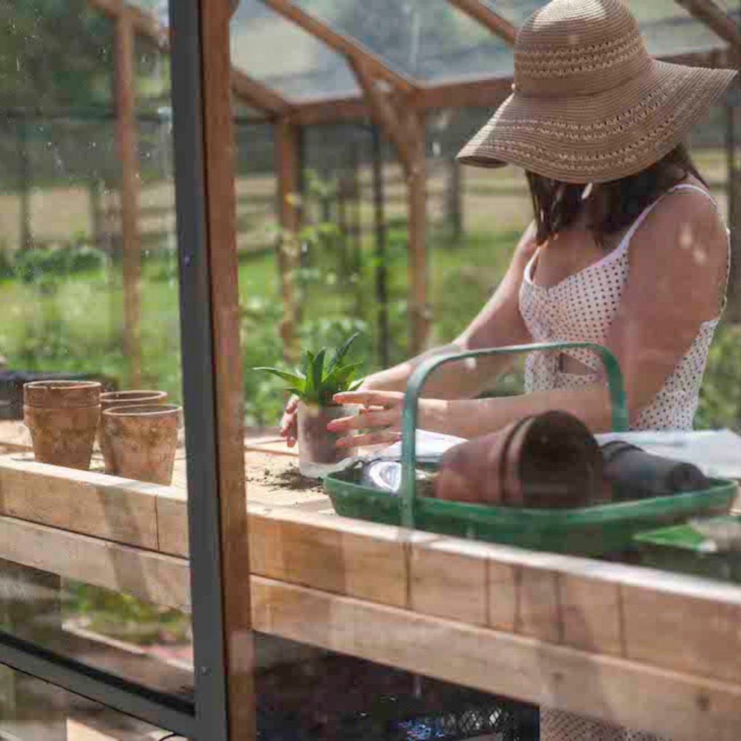 woman reporting plants