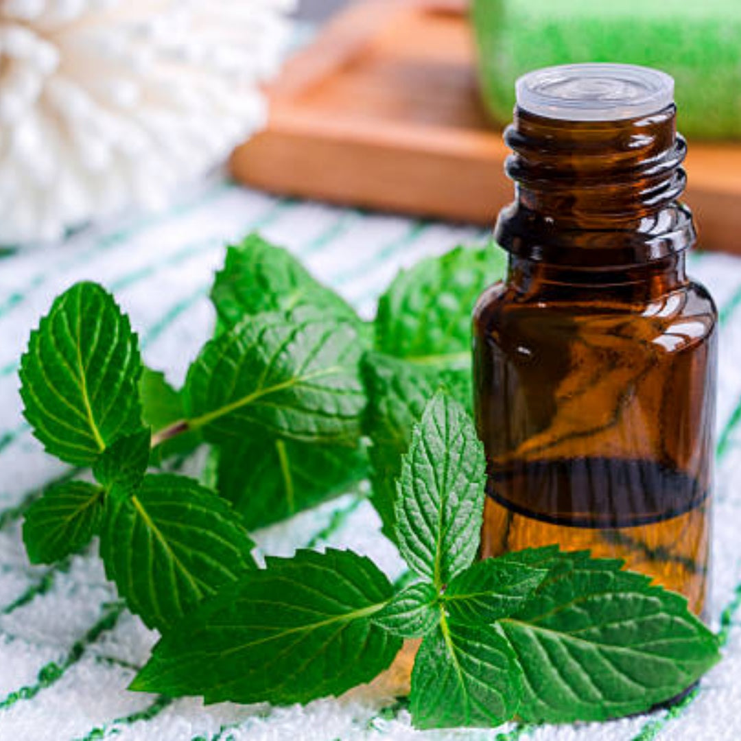 Rosemary, Clary Sage, and Peppermint stand out for their exceptional properties that can boost mental clarity
