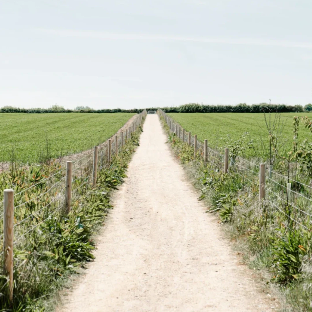 Top 5 Spa Destinations in the UK Countryside