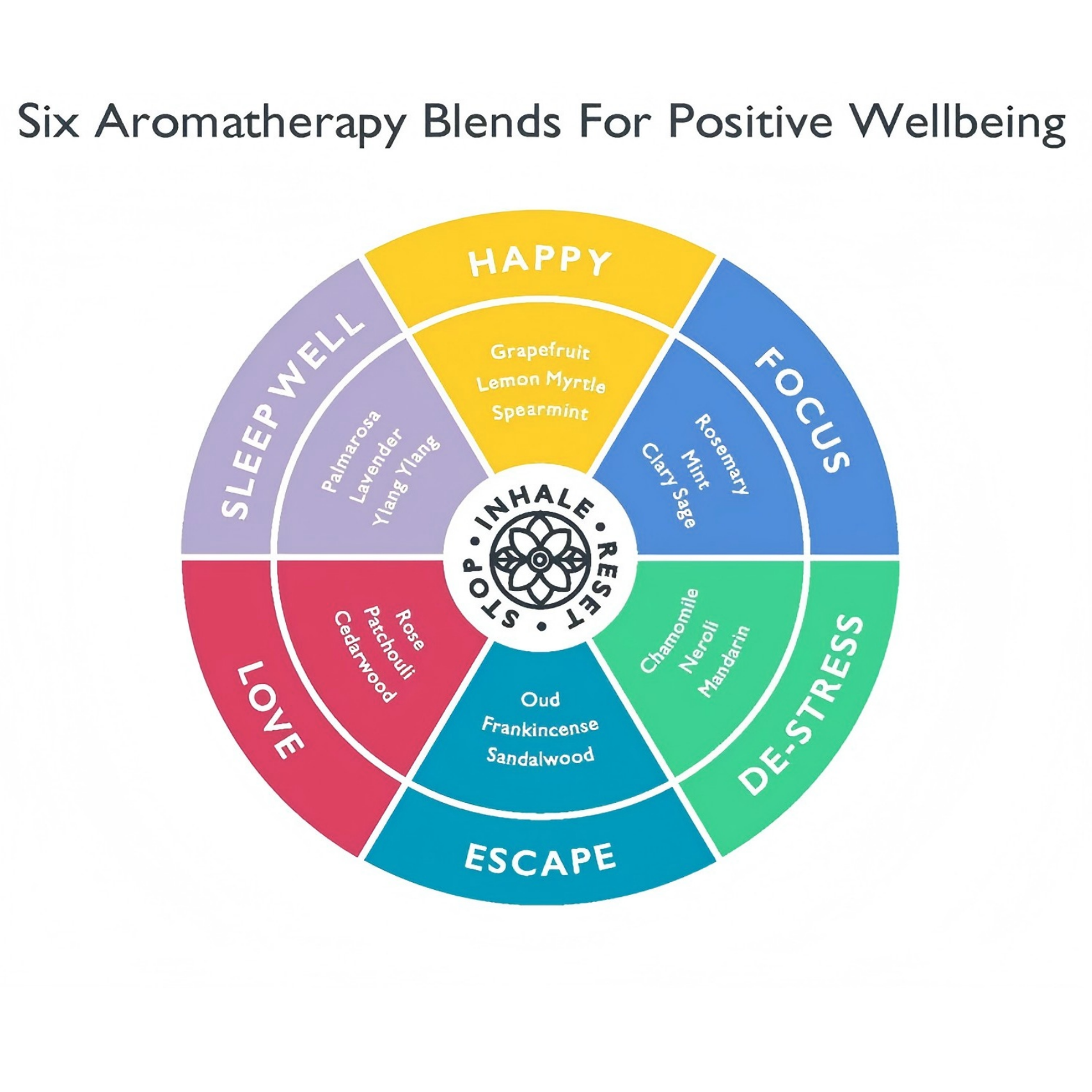 Scentered Ingredient Wellbeing blend wheel on a white background with different colours that connect to each scented balm.