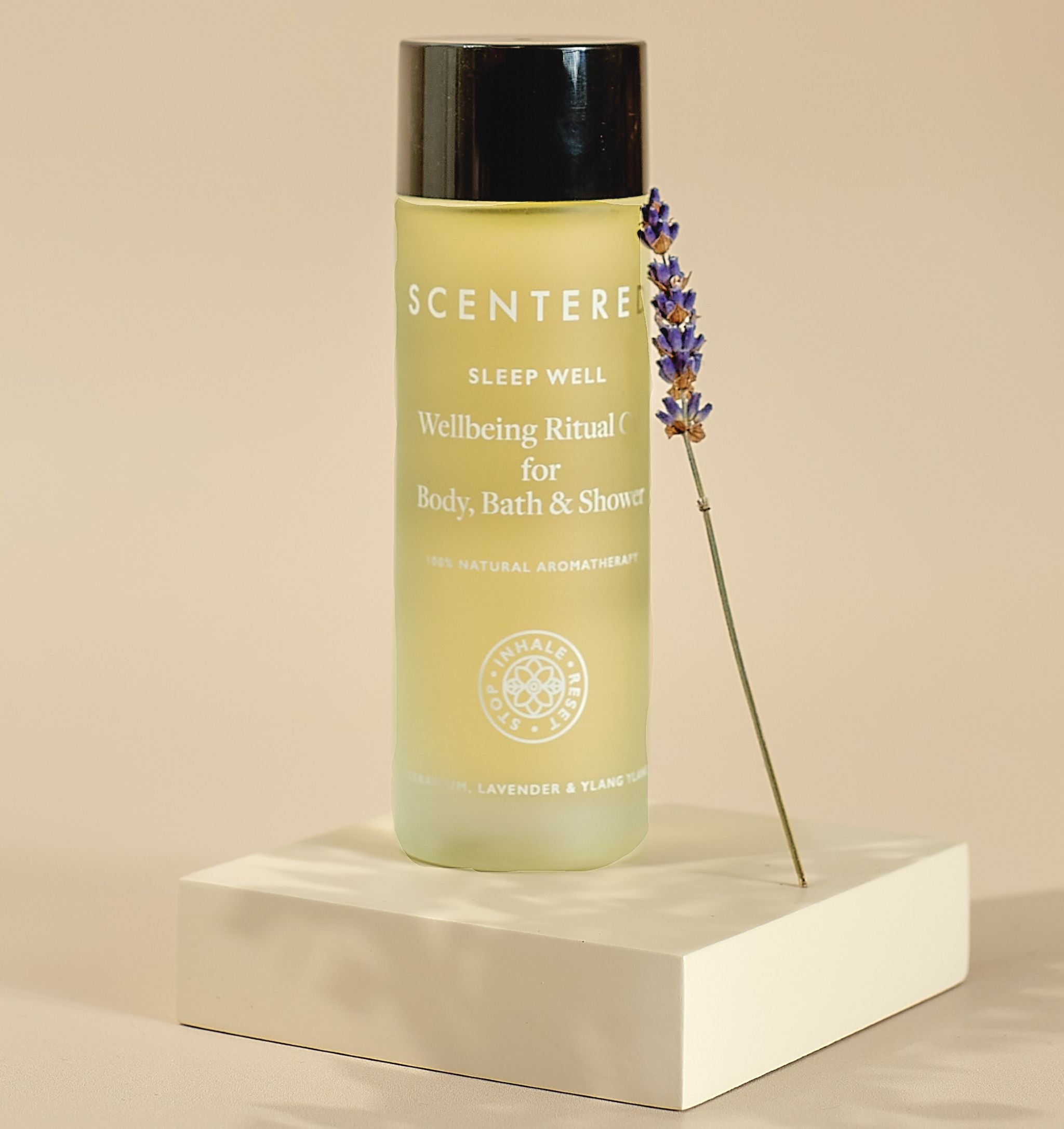Scentered Sleep Well Body oil in bottle on plinth with lavender on a beige background