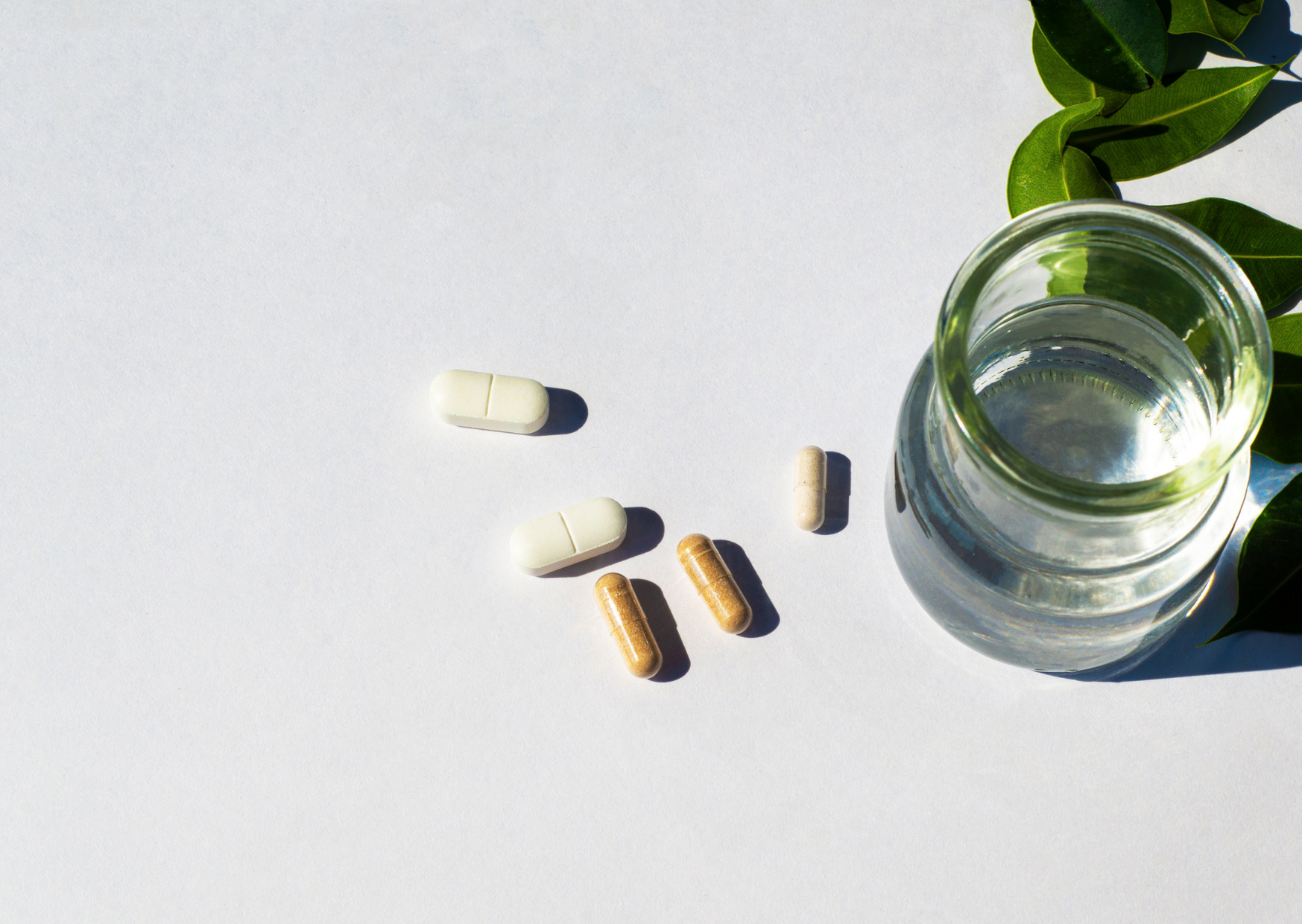 what are nutraceuticals
