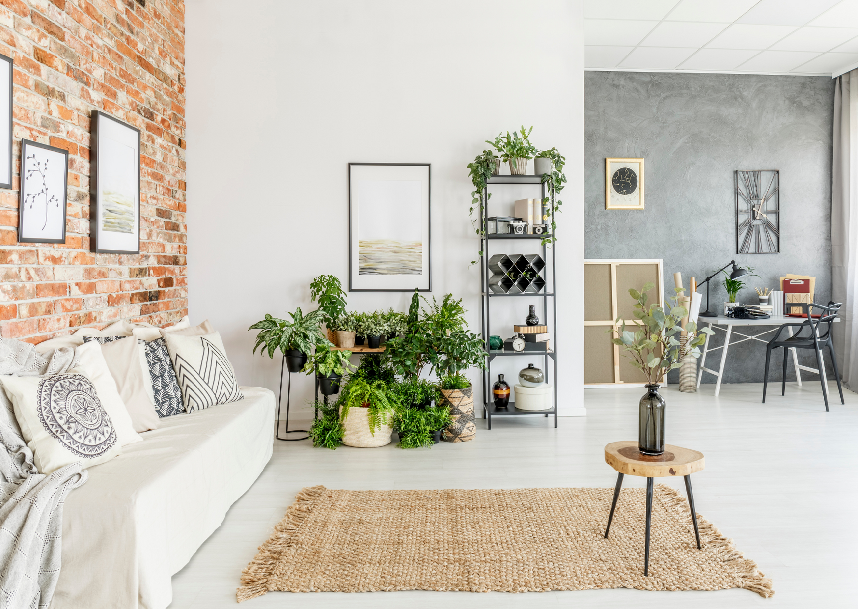 Living room with plants