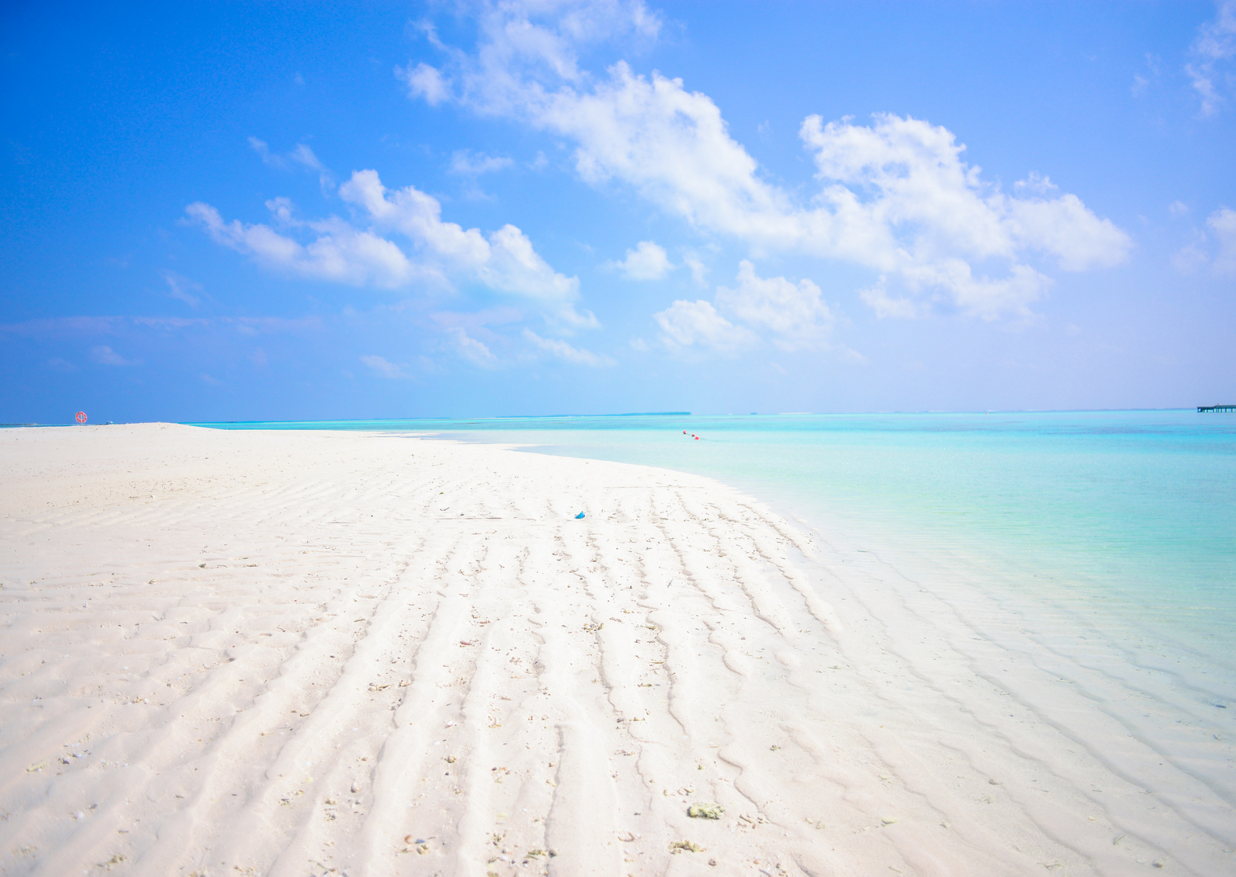 how do you know if you're in need of a holiday?