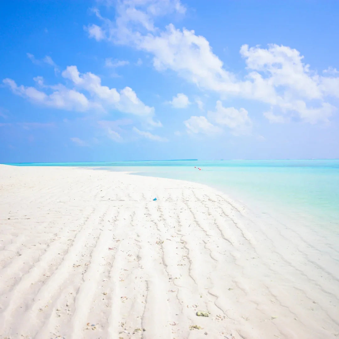 how do you know if you're in need of a holiday?