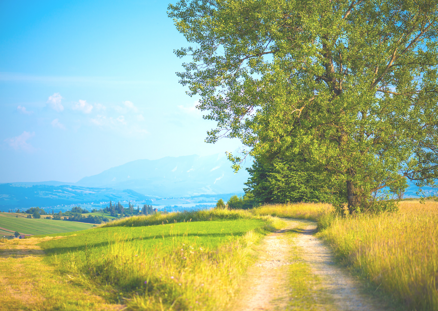 panoramic view of a country side road