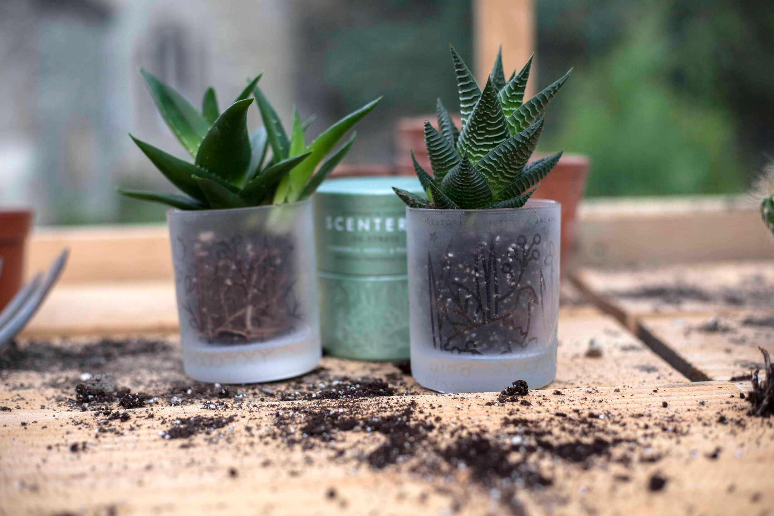 Reuse your packaging with Scentered